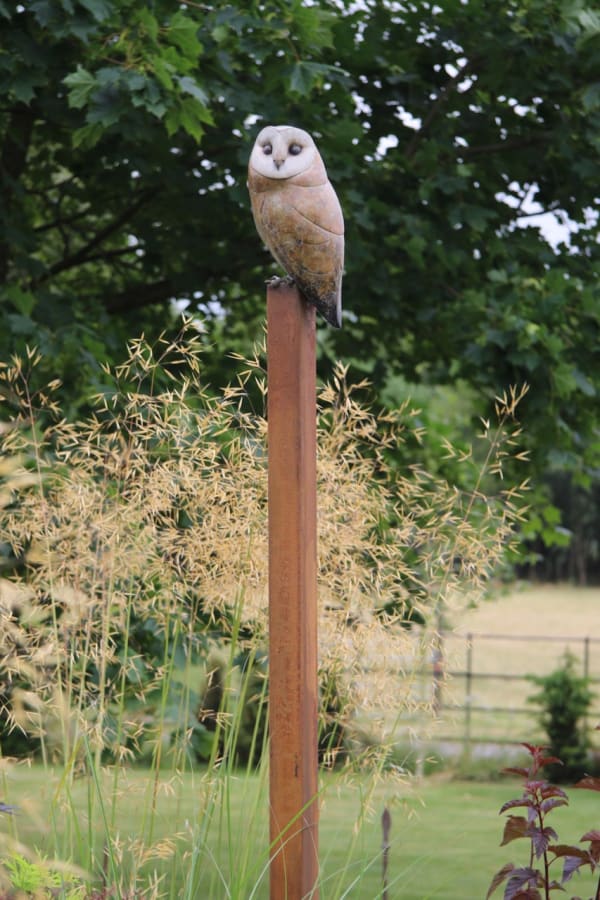 Adam Binder, Barn Owl , 2021