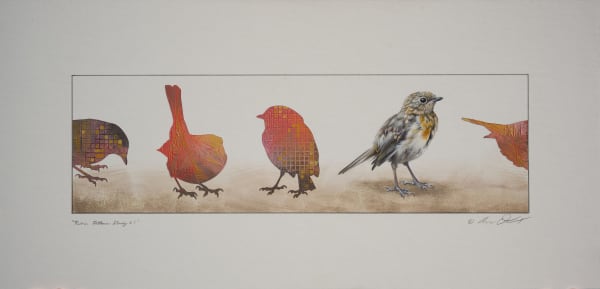 Andrew Denman, Robin Pattern Study #1