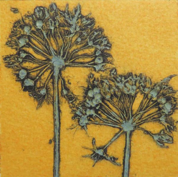 Robin Moorcroft, Duo