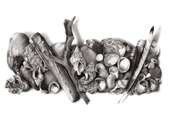 Katy Harrald, Shellbay