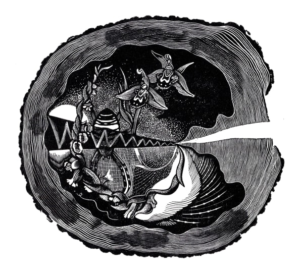 Robin Mackenzie, Windswept 2, 2023