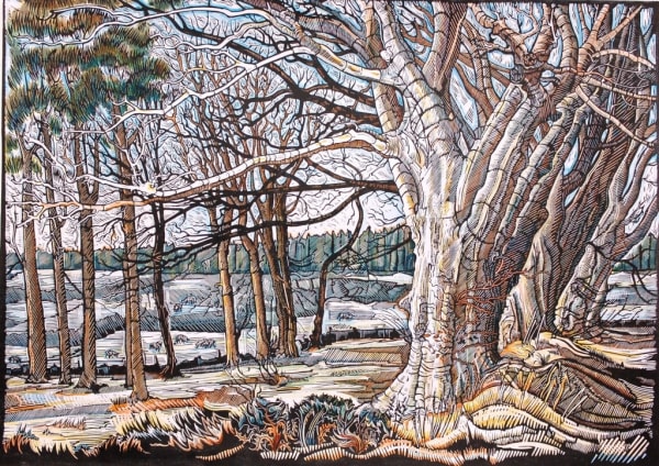 Myrtle Pizzey, Priddy Pool