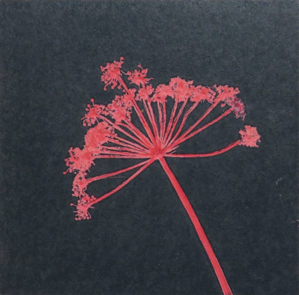 Robin Moorcroft, Solo