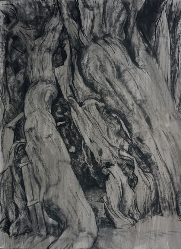 Annabel Cullen, Crowhurst Yew II