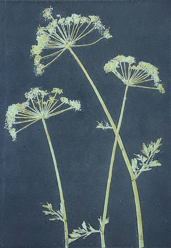 Robin Moorcroft, Crossover