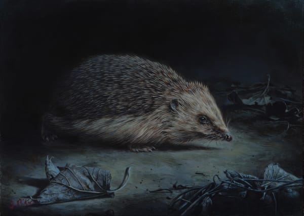 Jonathan Pointer, Hedgepig