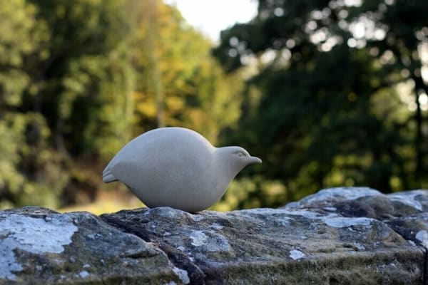 Jennifer Tetlow, Crake