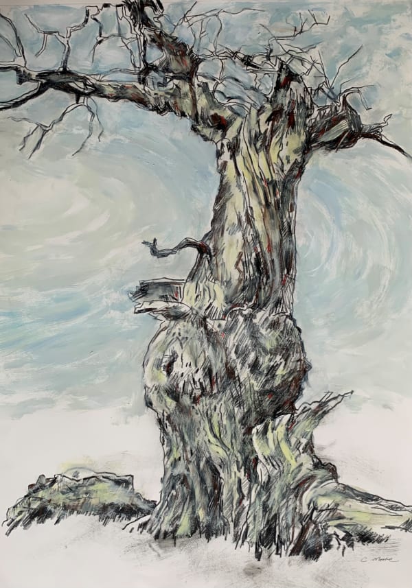 Colin Moore, Ancient Oak VI, 2023