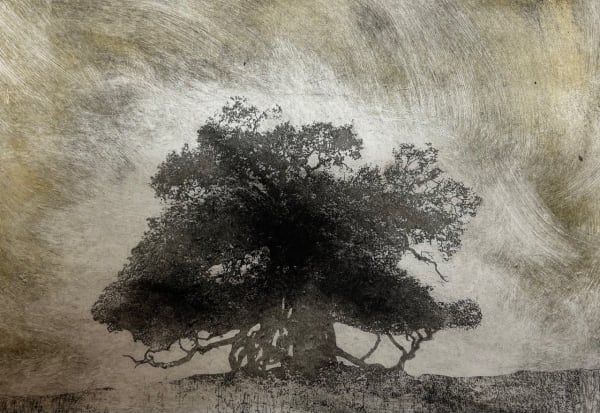 Emma Buckmaster, Ancient Oak