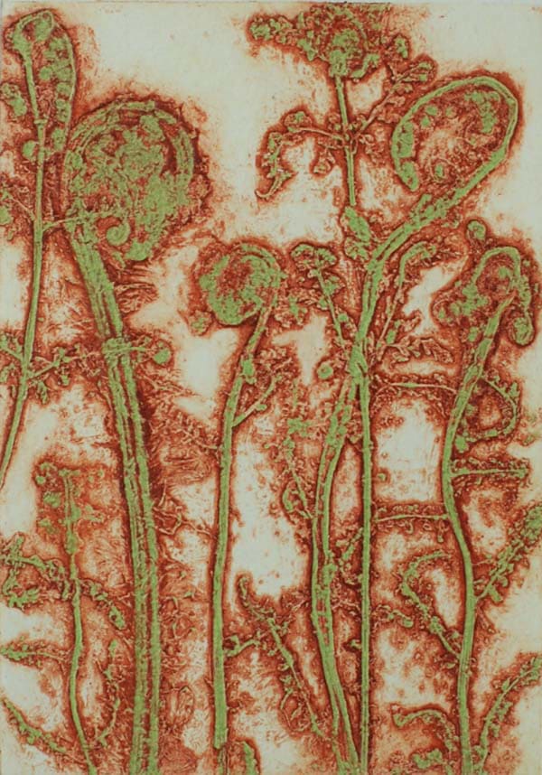 Robin Moorcroft, Fanciful Ferns