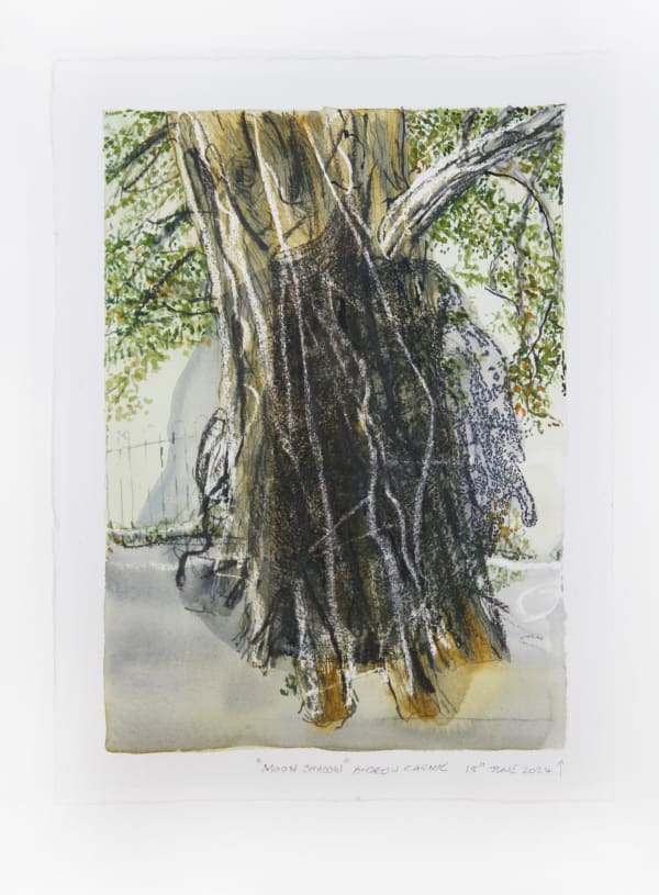 Andrew Carnie, Moon Shadow