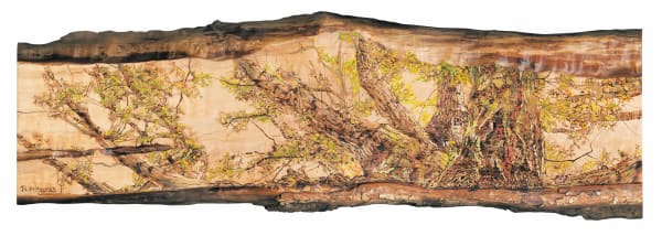 Tilia Holmes, Owl & the Oak