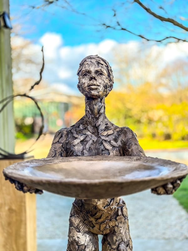 Carol Peace, For the Birds