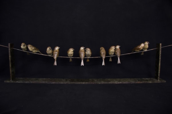 Adam Binder, Twelve Sparrows, 2017