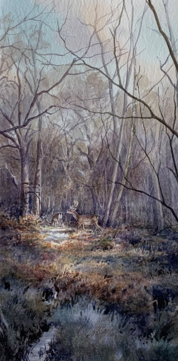 Owen Williams, Fallow Buck in the New Forest