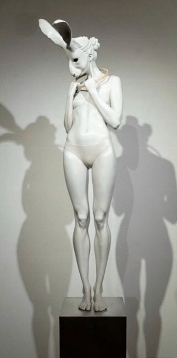 Rachel Ann Stevenson, The Light Trap