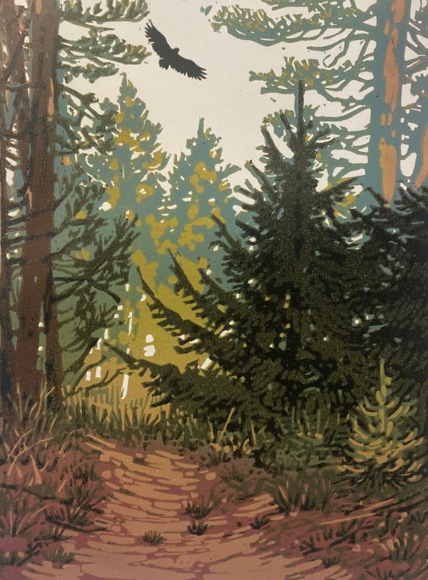 Noah Warnes, Lost in the Forest