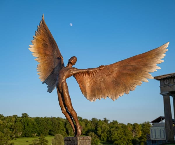 Nicola Godden, Icarus 1