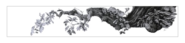 Katy Harrald, A Branch in My Garden, 2023