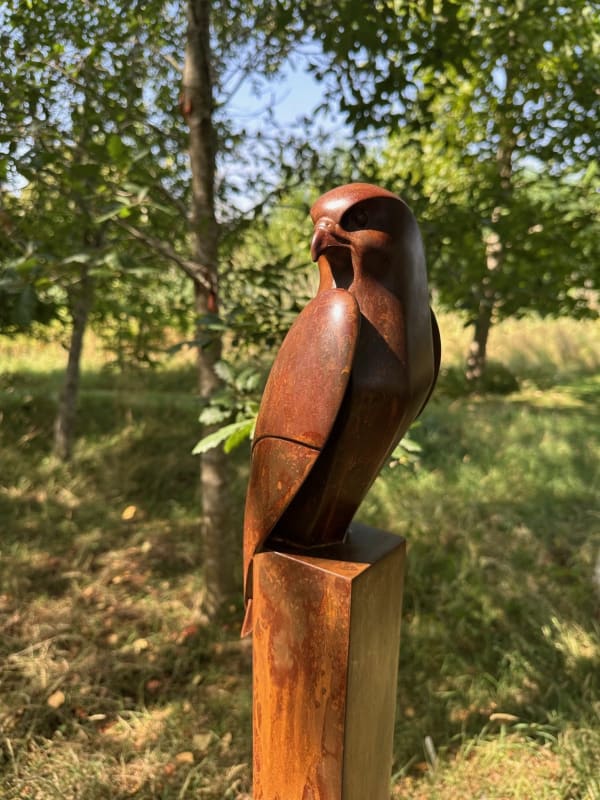 Paul Harvey, Kestrel Landed, 2025