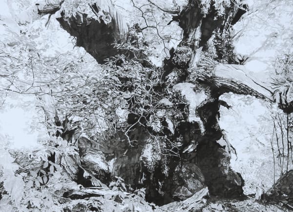 Tim Craven, The Tortworth Chestnut