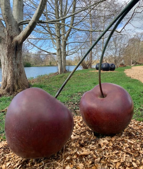 Simon Gudgeon, Cherries - A Pair, 2013