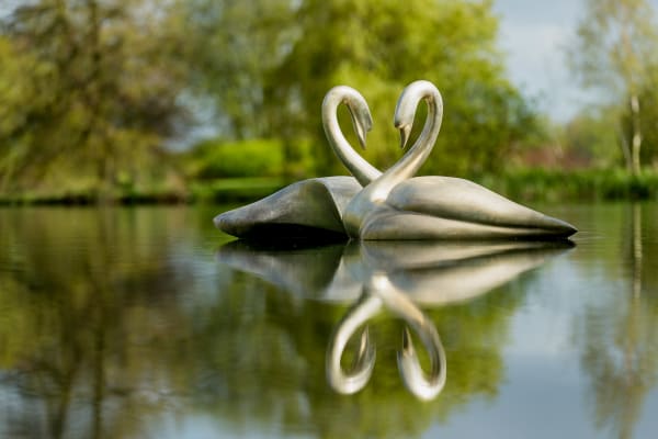 Simon Gudgeon, Swans