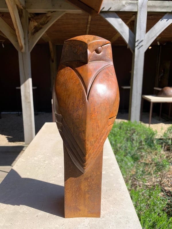 Paul Harvey, Little Owl, 2023