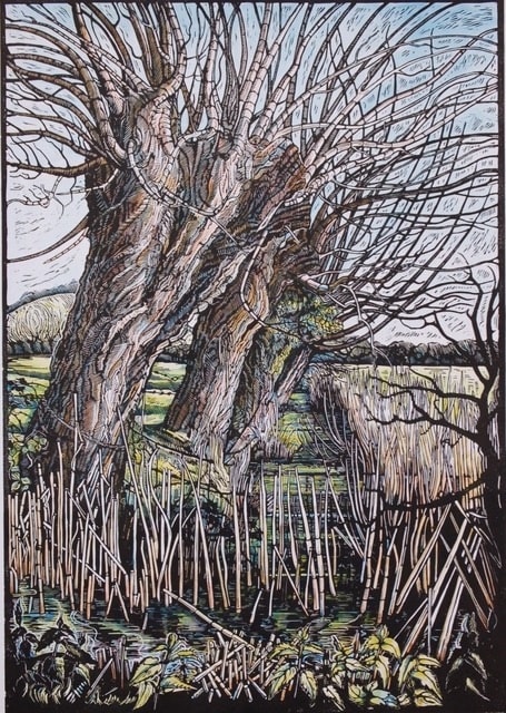 Myrtle Pizzey, Dyke Below Battlebury