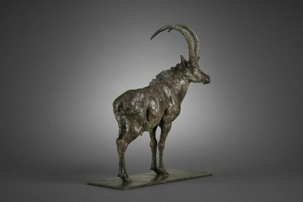 Fred Gordon, Sable Antelope