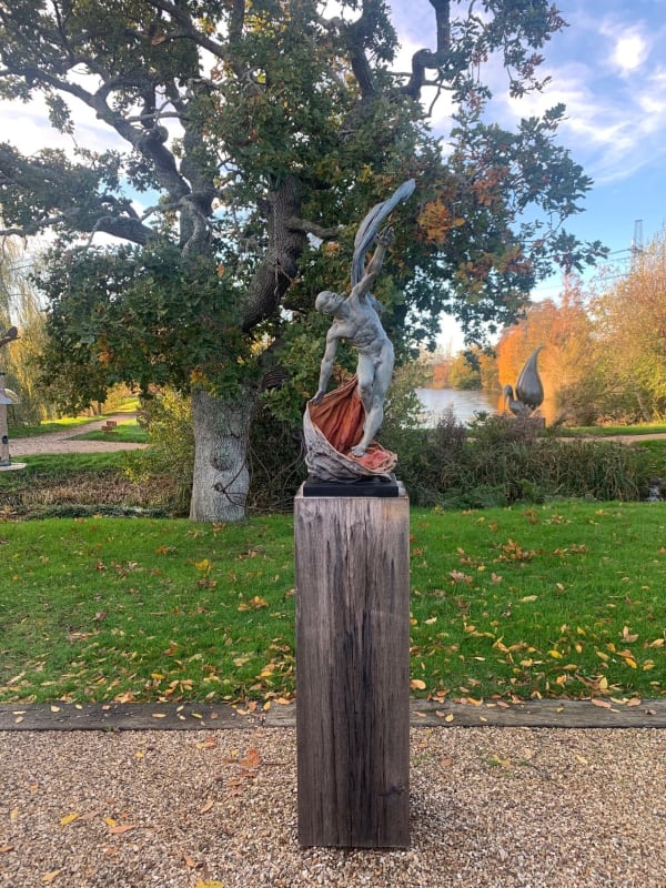 Lucianne Lassalle, Icarus Takes Flight - Leaving the Material World, 2022