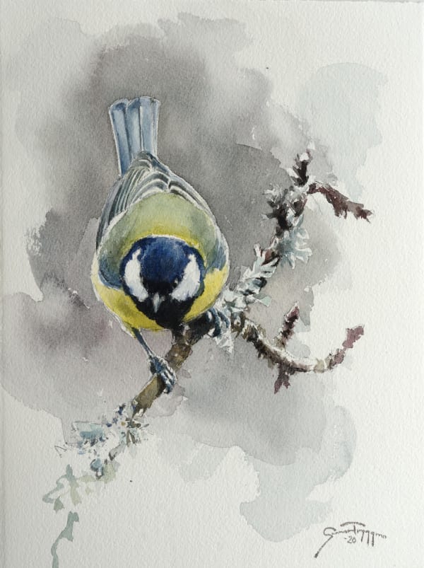 Gunnar Tryggmo, Great Tit II
