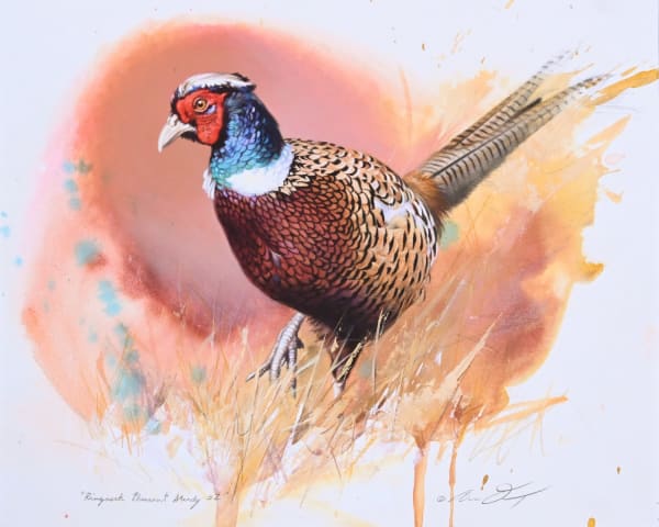 Andrew Denman, Ringneck Pheasant Study #2, 2023