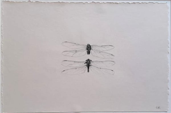 Evie Rich, Broken Dragonflies, 2023