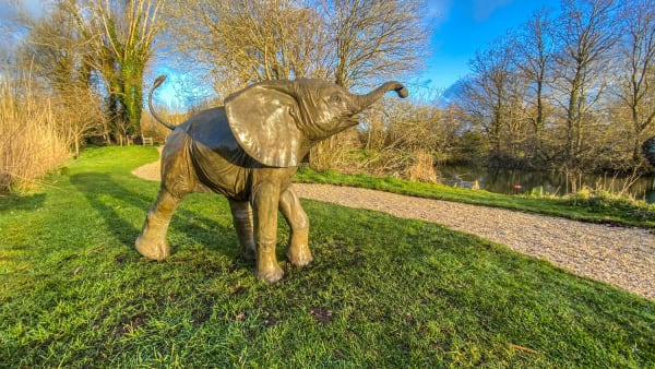 Gill Parker, Life size Baby Elephant