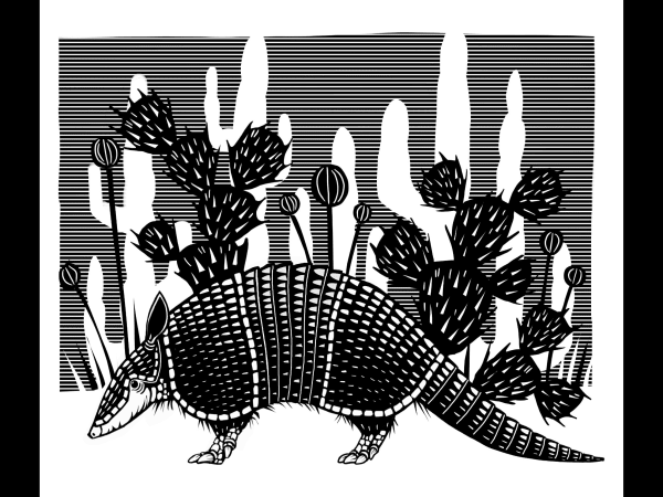 Noah Warnes, Armadillo, 2021