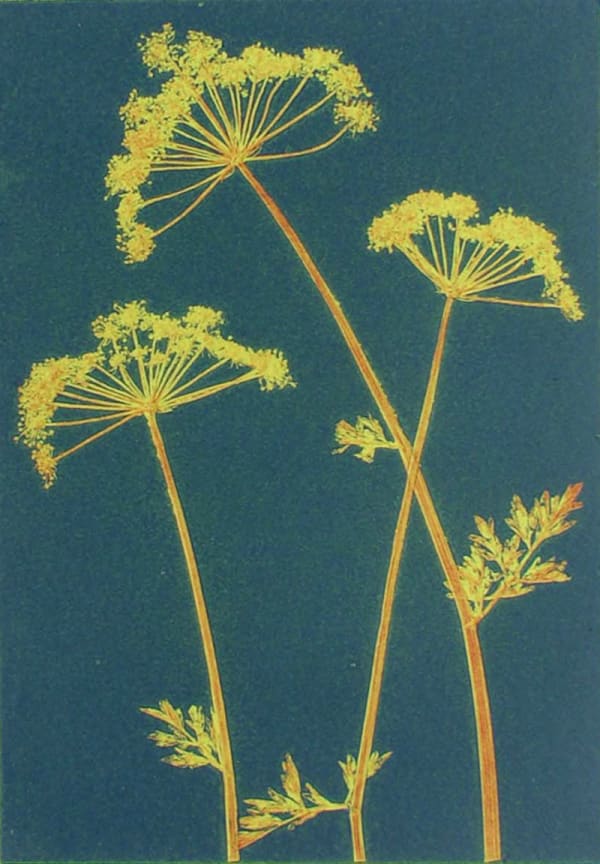 Robin Moorcroft, Cross Over (framed)