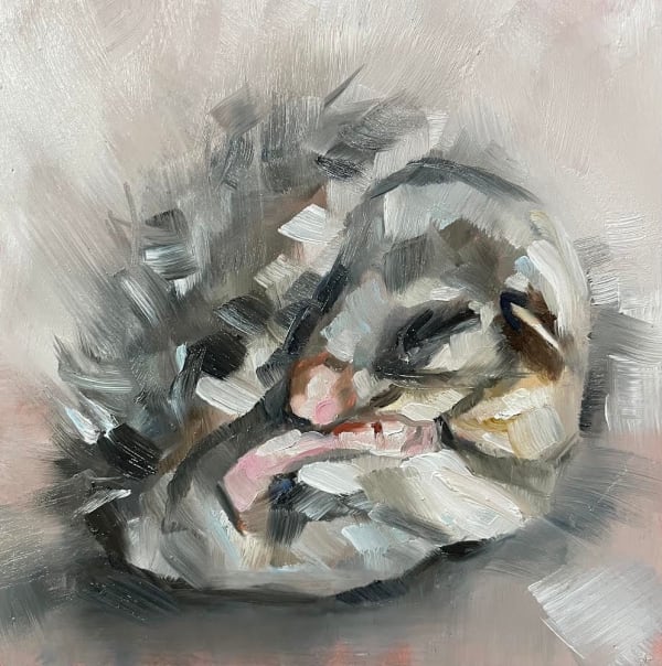 Julie Brunn, Dormouse