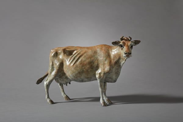 Helen Gordon, Silly Cow