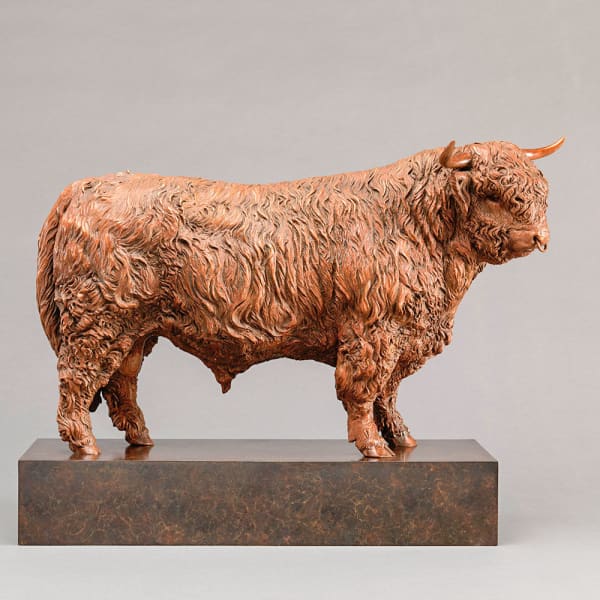 Nick Bibby, Highland Bull: Eric (British Champion Animals Collection)
