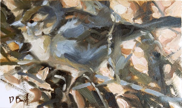 Dennis Boyd, Through the Hedge, 2021