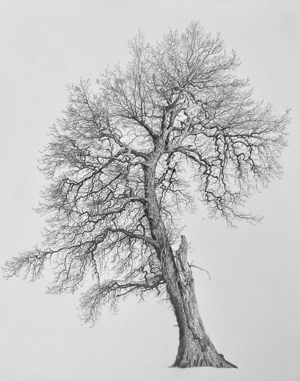 Paul Newman, Witness