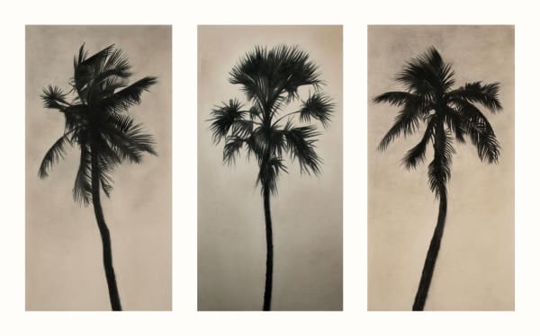 Finn Campbell-Notman, Dum Spiro Spero Triptych