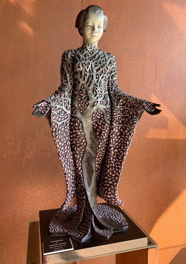 Jonathan Hateley FRSA, Transience