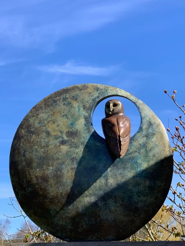 Simon Gudgeon, Barn Owl in Sphere