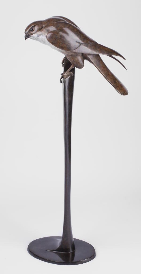 Carl Longworth, Kestrel