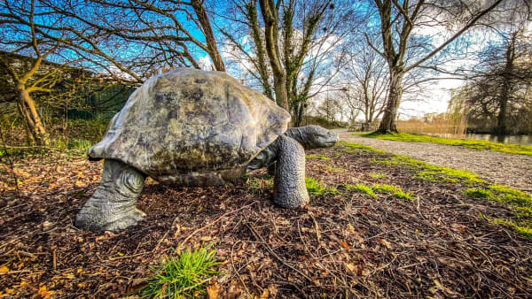 Gill Parker, Galapagos II