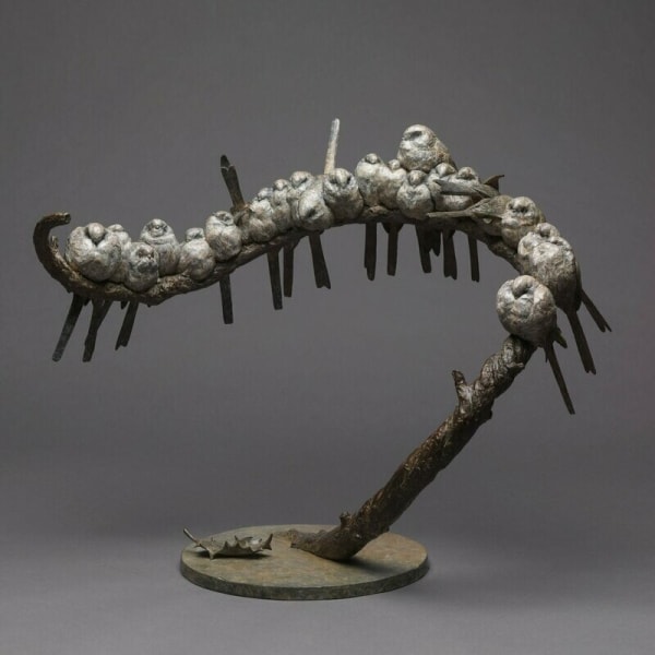 Nick Bibby, Long Tailed Tits, The Usual Suspects