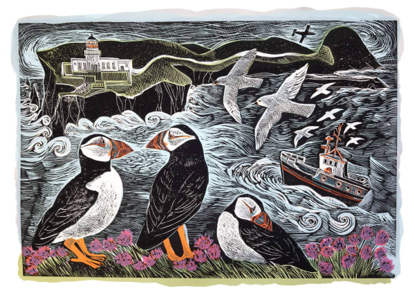 Angela Harding, Fair Isle Puffins at the North Lighthouse