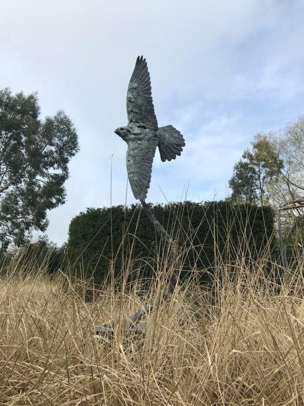 Fred Gordon, Peregrine Falcon